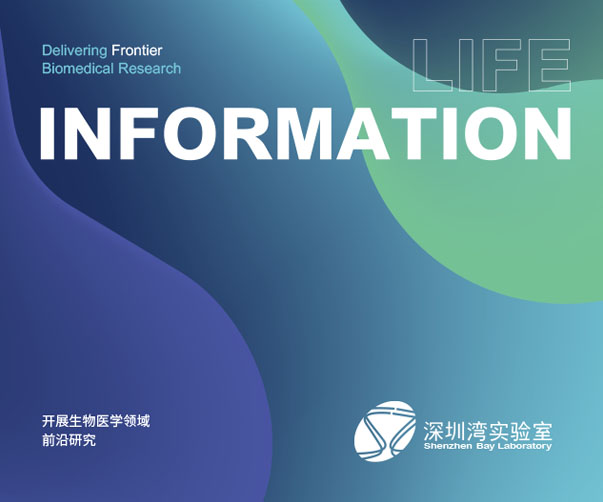 上海VI設(shè)計公司與世界500強企業(yè)的合作之道